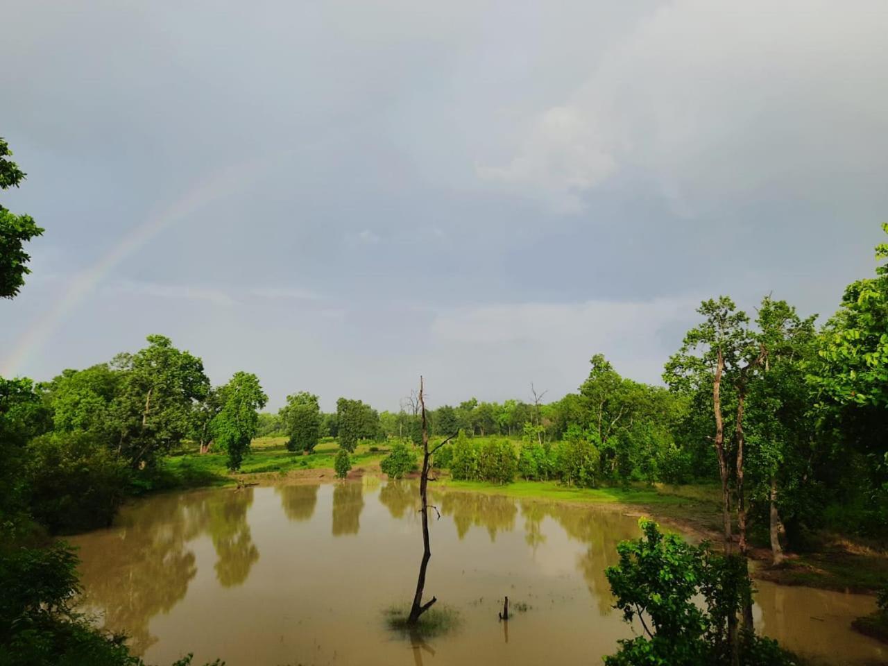 Emerald Tiger Retreat Tāla エクステリア 写真