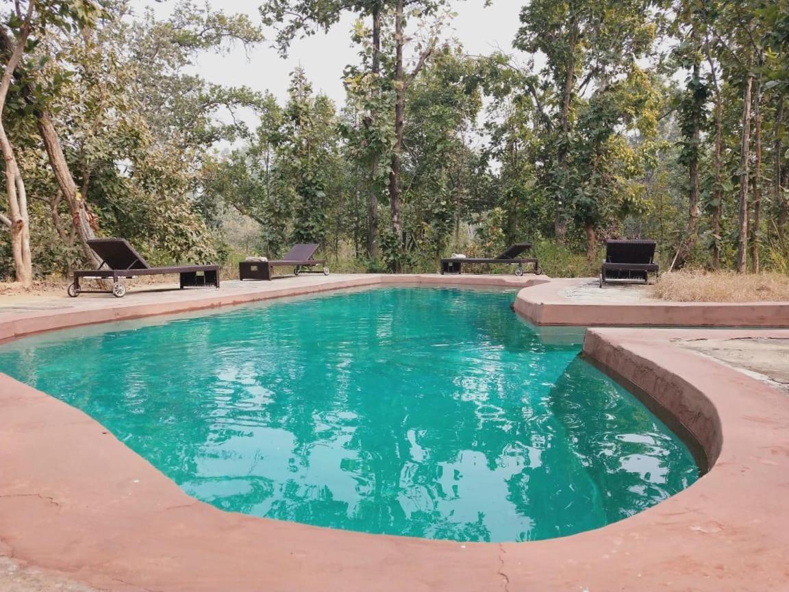 Emerald Tiger Retreat Tāla エクステリア 写真