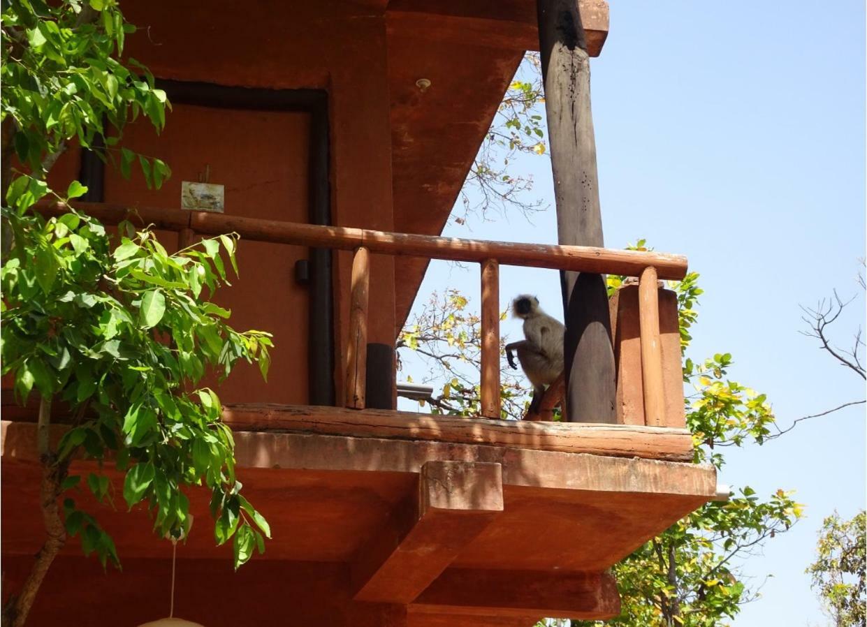 Emerald Tiger Retreat Tāla エクステリア 写真